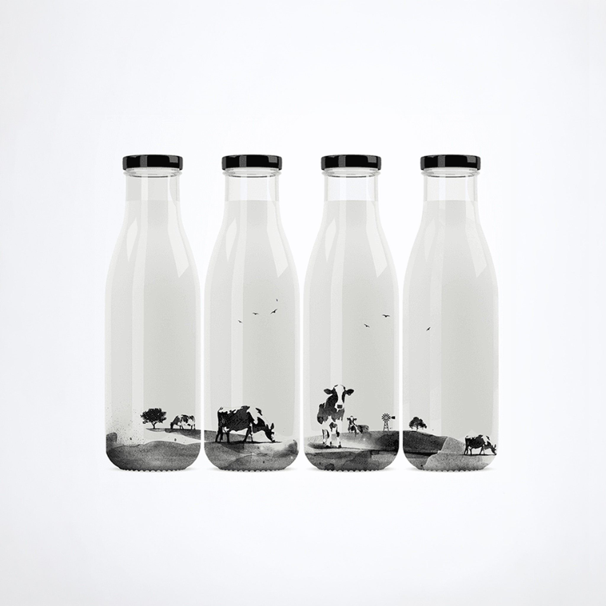 NomNom milk bottle lineup with illustrated cows and landscapes